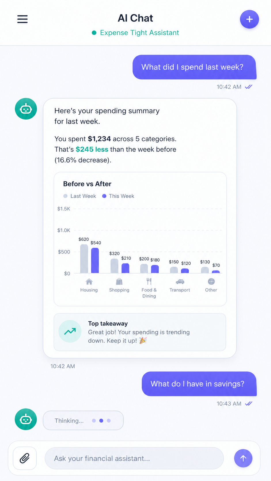 Expense Tight AI financial assistant screen